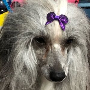 Meet your Posher, Deanna